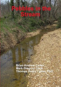 portada Pebbles in the Stream