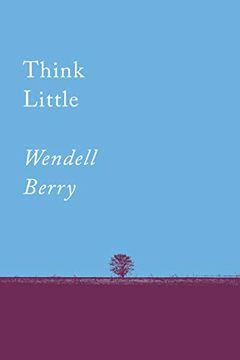 portada Think Little: Essays (Counterpoints Series) (in English)