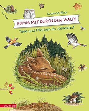 portada Kommt mit Durch den Wald: Tiere und Pflanzen im Jahreslauf (en Alemán)