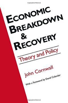 portada economic breakdown and recovery: theory and policy (in English)