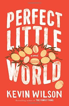 portada Perfect Little World: A Novel