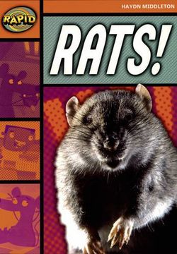 portada Rapid Stage 4 set b: Rats! (Series 1) (Rapid Series 1) (en Inglés)