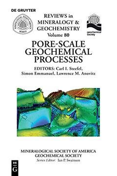 portada Pore Scale Geochemical Processes (Reviews in Mineralogy & Geochemistry) (en Inglés)