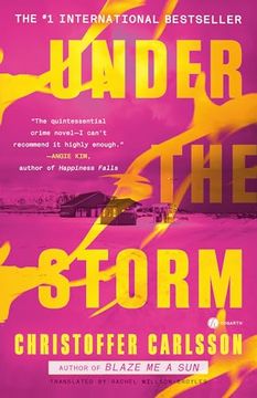 portada Under the Storm: A Novel (in English)