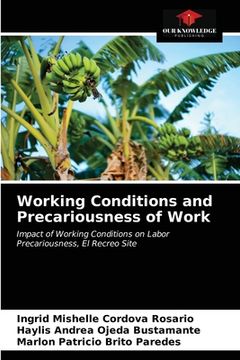 portada Working Conditions and Precariousness of Work (en Inglés)