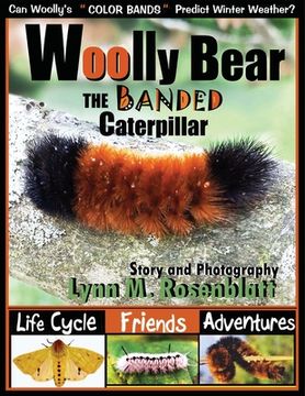 portada Woolly Bear the Banded Caterpillar: Life Cycle, Friends and Adventures (en Inglés)