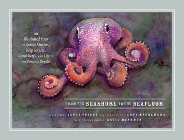 portada From the Seashore to the Seafloor: An Illustrated Tour of Sandy Beaches, Kelp Forests, Coral Reefs, and Life in the Ocean'S Depths (en Inglés)
