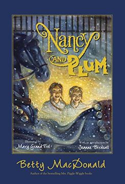portada Nancy and Plum (en Inglés)