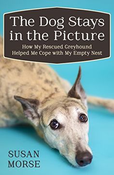 portada The dog Stays in the Picture: How my Rescued Greyhound Helped me Cope With my Empty Nest (en Inglés)