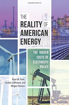 portada The Reality of American Energy: The Hidden Costs of Electricity Policy