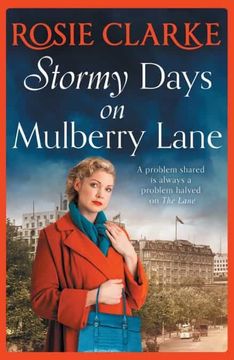 portada Stormy Days on Mulberry Lane (en Inglés)