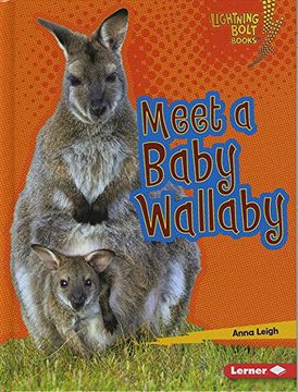 portada Meet a Baby Wallaby (Lightning Bolt Books: Baby Australian Animals)