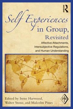 portada self experiences in group, revisited