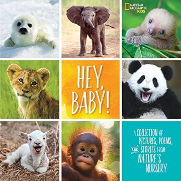 portada Hey, Baby! A Collection of Pictures, Poems, and Stories From Nature's Nursery (National Geographic Kids) 