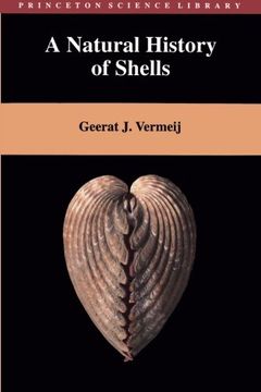 portada A Natural History of Shells (in English)