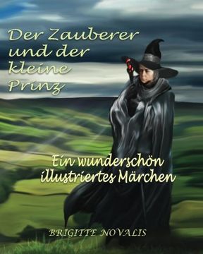 portada Der Zauberer und der kleine Prinz: Ein wunderschön illustriertes Märchen (German Edition)
