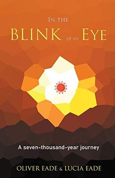 portada In the Blink of an eye (in English)