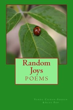 portada Random Joys: poetry book