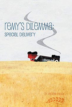 portada Remy'S Dilemma: Special Delivery (Remy Delemme) (in English)