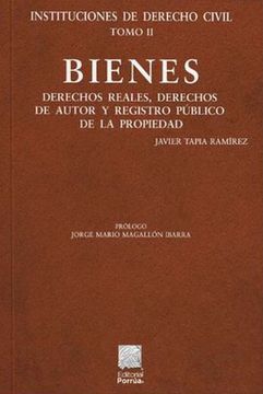 portada Bienes. Derechos Reales, Derechos de Autor y Registro Público de la Propiedad / Instituciones de Derecho Civil / Tomo ii / 4 ed.