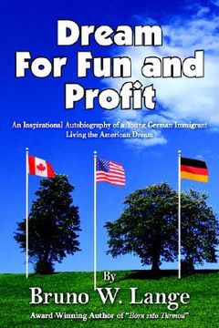 portada dream for fun and profit (en Inglés)