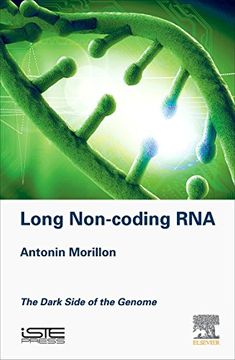 portada Long Non-Coding Rna: The Dark Side of the Genome (en Inglés)
