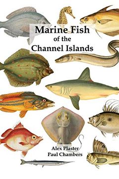 portada Marine Fish of the Channel Islands 