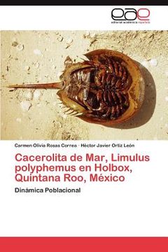 portada cacerolita de mar, limulus polyphemus en holbox, quintana roo, m xico (en Inglés)