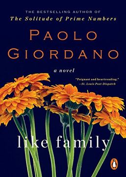 portada Like Family: A Novel 
