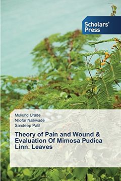 portada Theory of Pain and Wound & Evaluation Of Mimosa Pudica Linn. Leaves