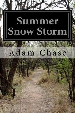 portada Summer Snow Storm (en Inglés)