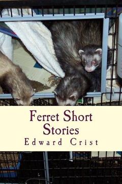 portada Ferret Short Stories (en Inglés)