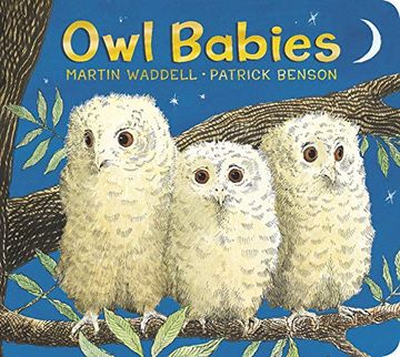 portada Owl Babies (in English)