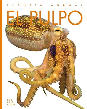 portada El Pulpo (Planeta Animal) (in English)