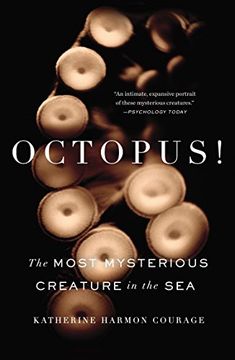 portada Octopus! The Most Mysterious Creature in the sea (en Inglés)