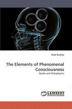 portada the elements of phenomenal consciousness (in English)