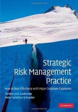 portada Strategic Risk Management Practice: How to Deal Effectively With Major Corporate Exposures (en Inglés)