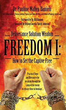 portada Deliverance Solution Wisdom - Freedom I: How to Set the Captive Free - Practical Steps and Utterances for Breaking Through the Camp of the Enemy to Re