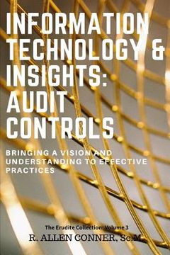 portada Information Technology & Insights: Audit Controls: Bringing a Vision and Understanding to Effective Practices (en Inglés)