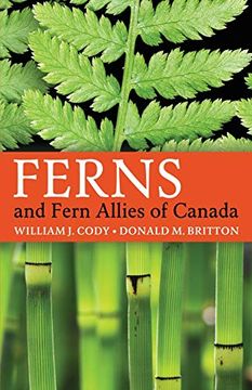 portada Ferns and Fern Allies of Canada (en Inglés)