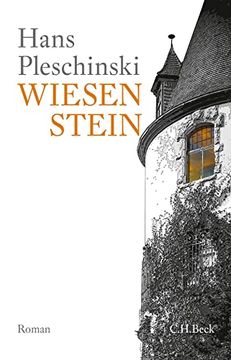 portada Wiesenstein: Roman (in German)