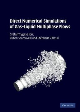 portada Direct Numerical Simulations of Gas-Liquid Multiphase Flows Hardback (Cambridge Monographs on Applied & Computational Mathematics) (en Inglés)