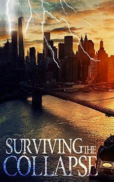 portada Surviving the Collapse (in English)