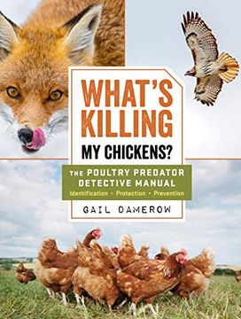 portada What's Killing My Chickens?: The Poultry Predator Detective Manual (en Inglés)