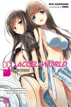 portada Accel World, Vol. 17 (Light Novel) (en Inglés)