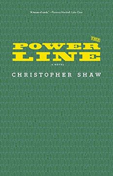 portada The Power Line: A Novel (in English)