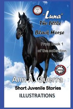 portada Luna-The Little Black Horse: Story No: 4 from Book 1 of the Collection (en Inglés)