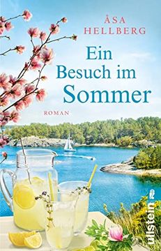 portada Ein Besuch im Sommer: Roman (en Alemán)