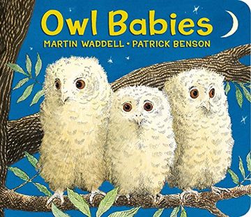 portada Owl Babies (en Inglés)