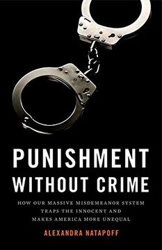 portada Punishment Without Crime: How our Massive Misdemeanor System Traps the Innocent and Makes America More Unequal 